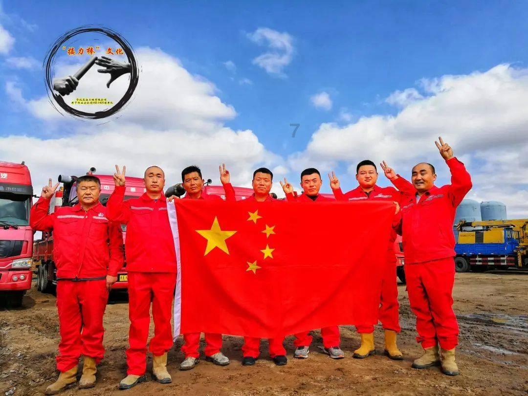 可爱的小考拉